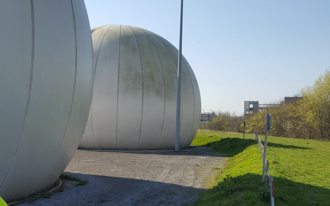 Biogas storage unit