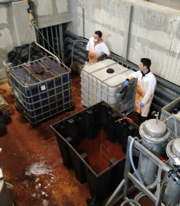 Terzeo: una primicia en la descontaminación por arsénico en suelos contaminados