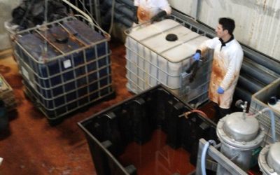 Terzeo : une première en matière de décontamination de l’arsenic sur des sols pollués